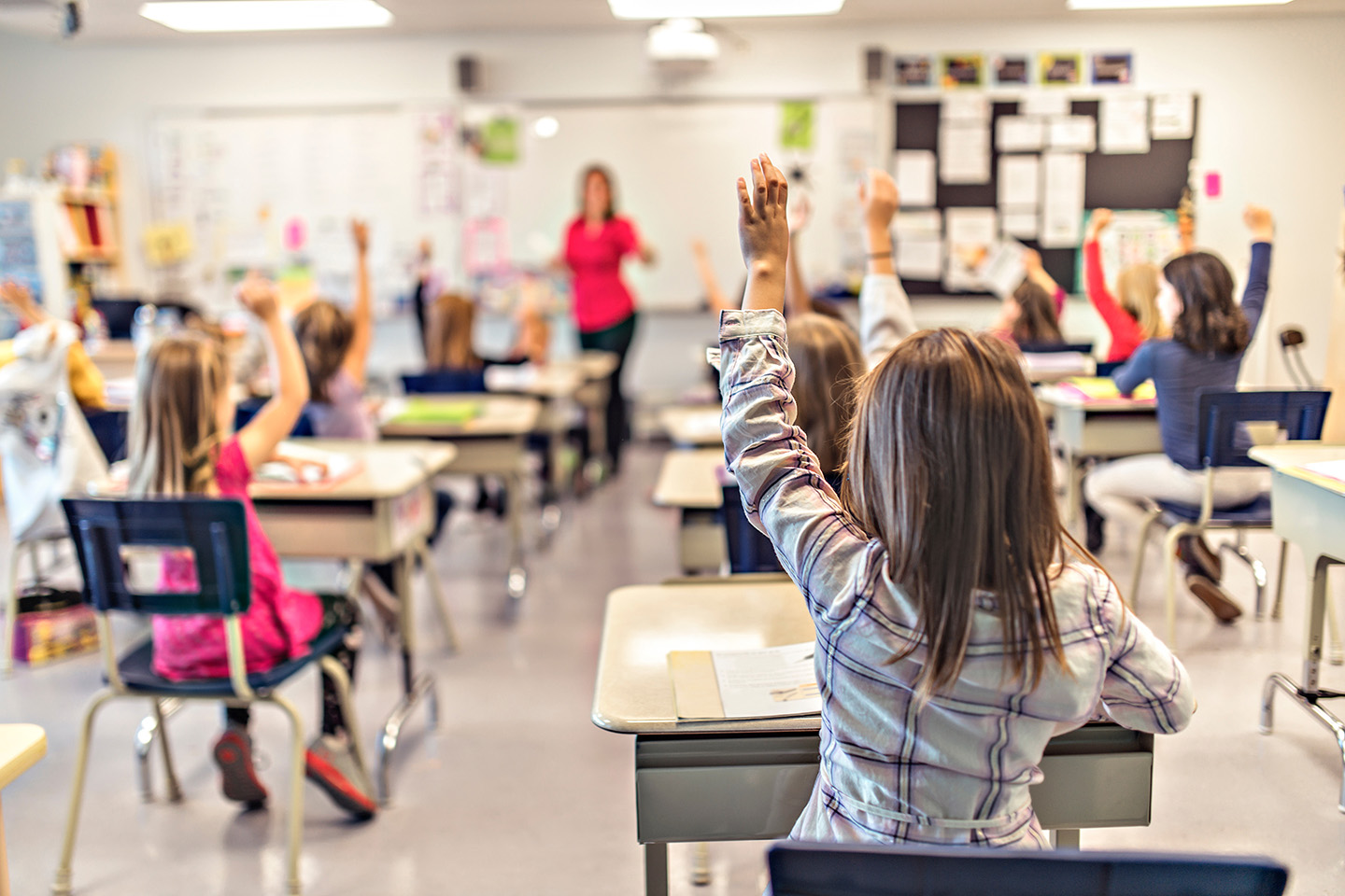 back of classroom kids raising hands