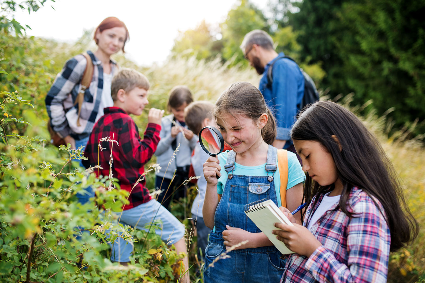 students studying nature outside